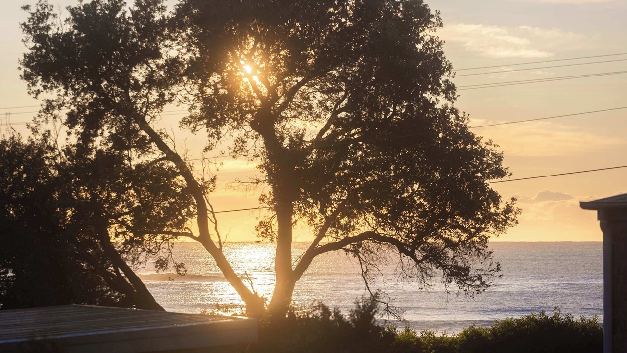 Photo of Others in Bawley Point