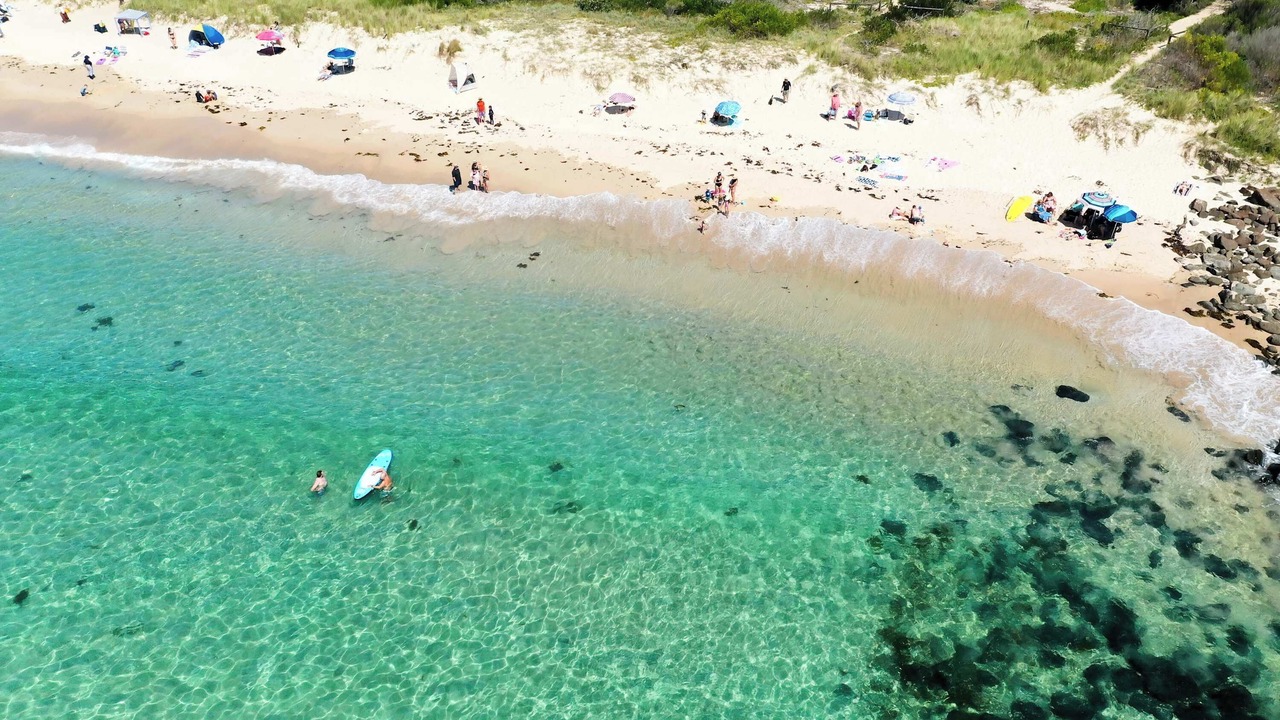 Photo of Others in Bawley Point