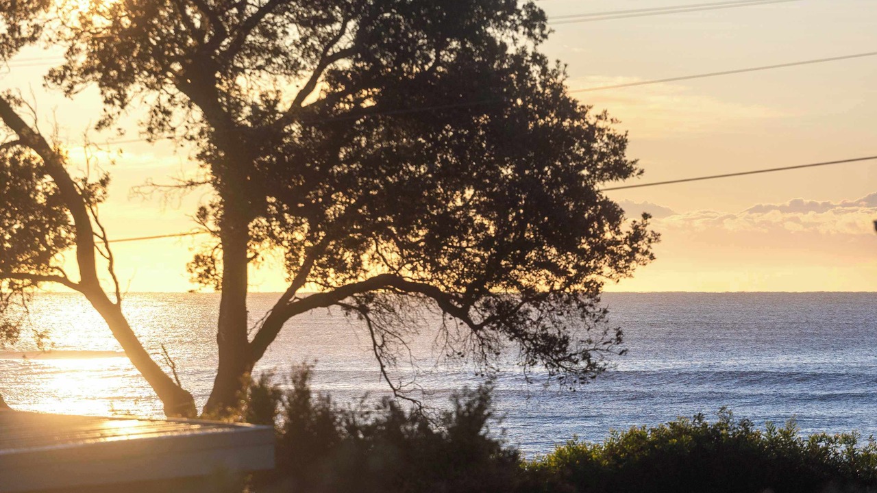Photo of Others in Bawley Point