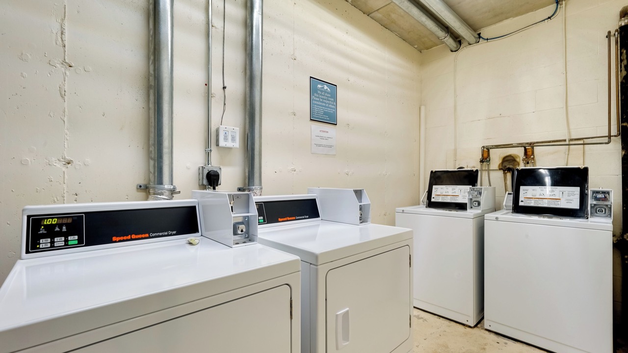 Photo of Others in Londonderry