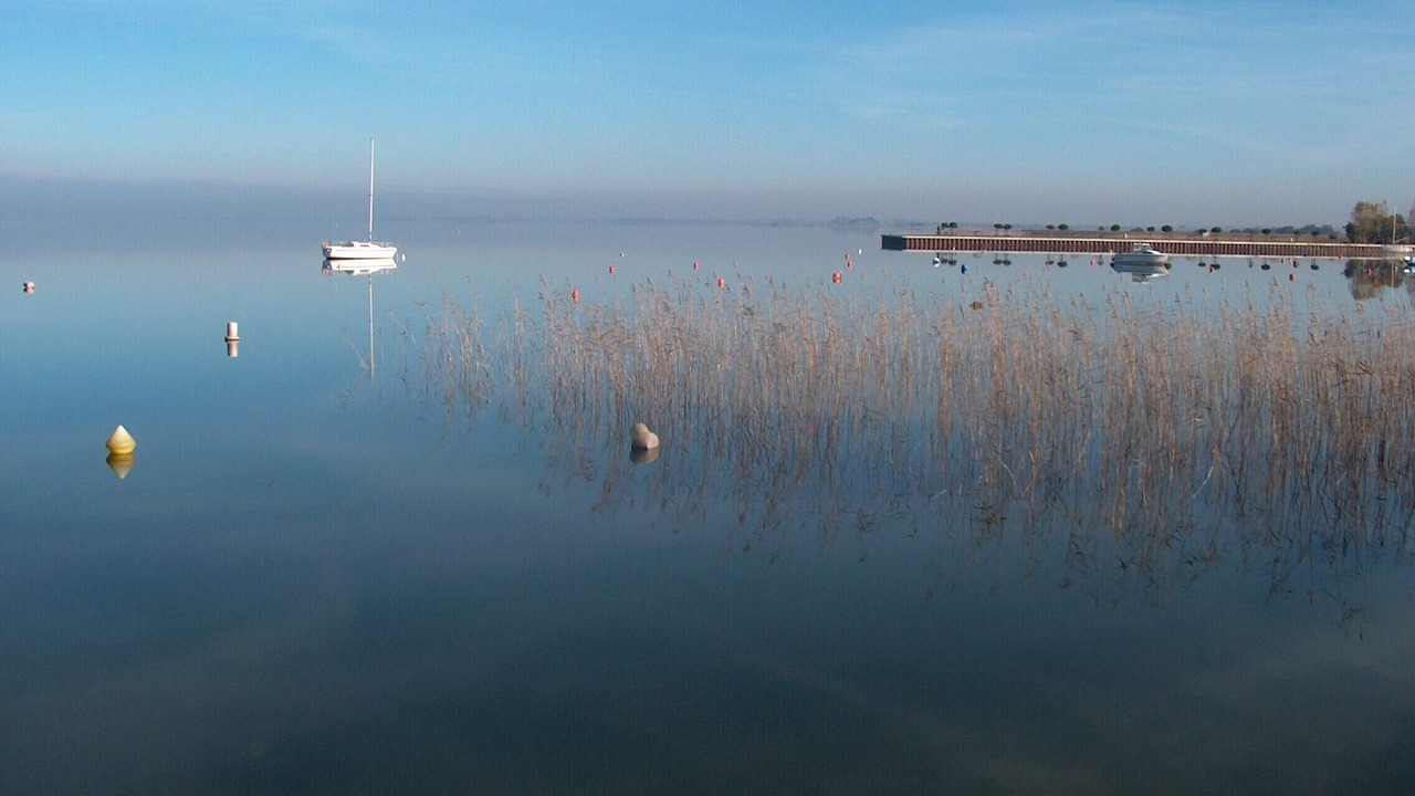 Photo of Others in Carcans Plage