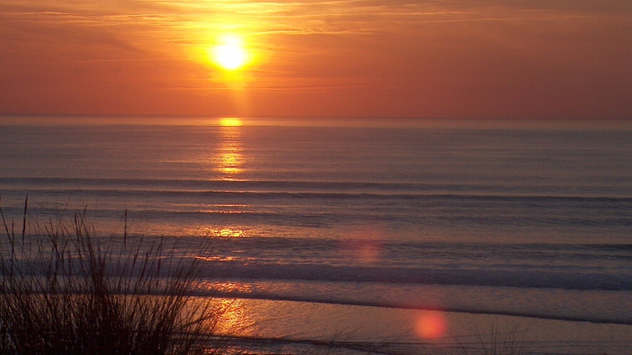 Photo of Others in Carcans Plage