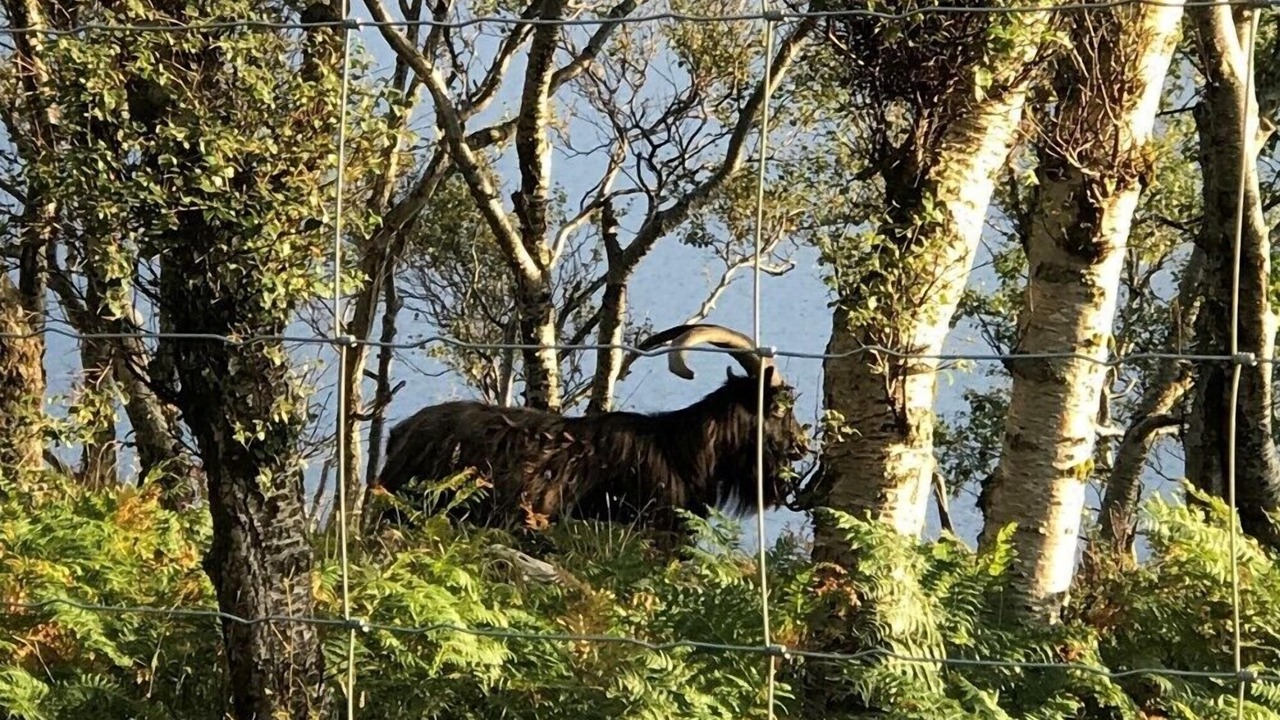 Photo of Outdoor in Diabaig