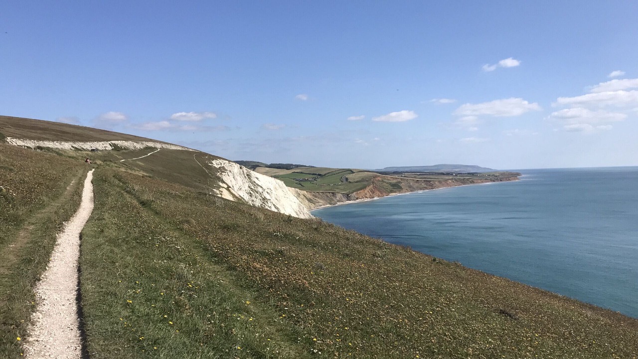 Photo of Others in Freshwater Bay