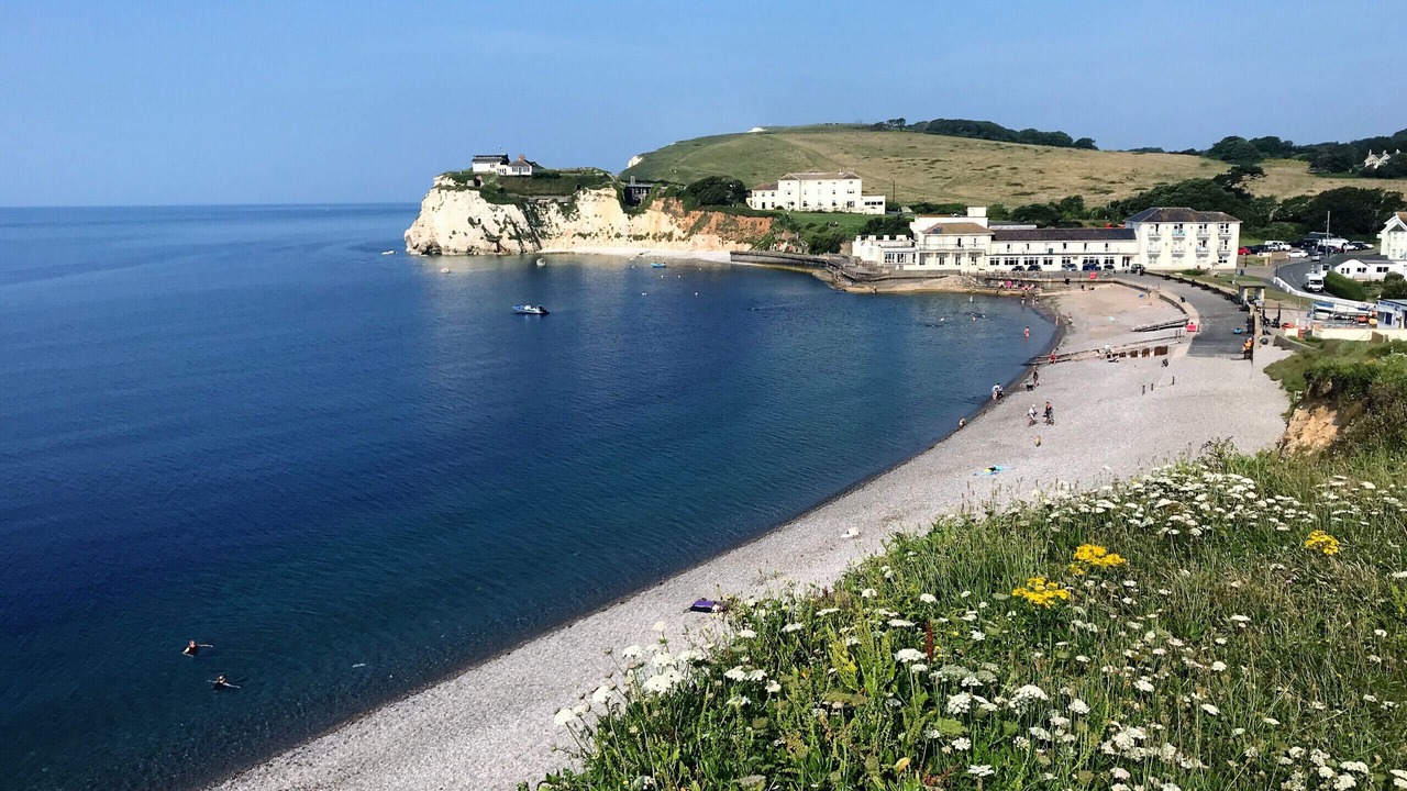 Photo of Others in Freshwater Bay