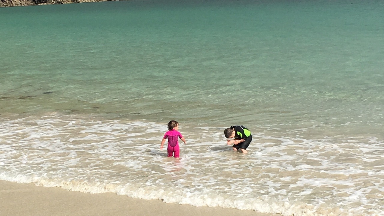 Photo of Others in Harris