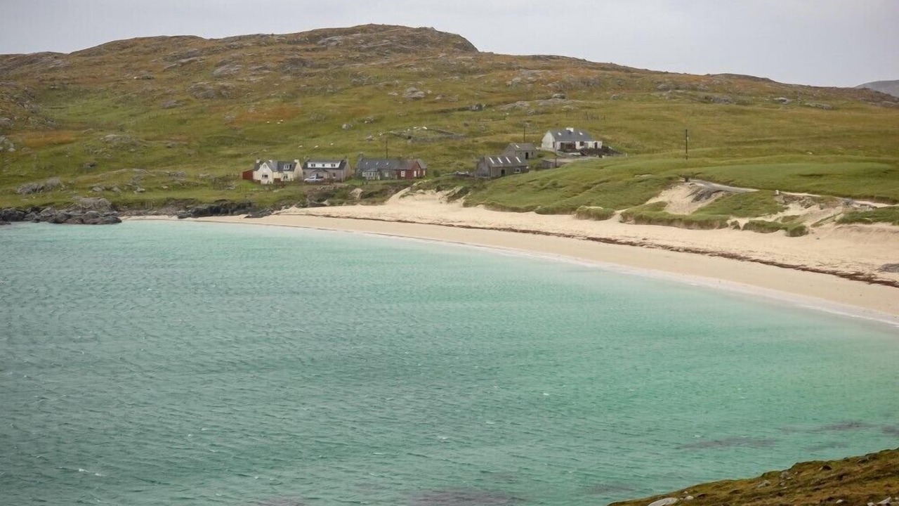 Photo of Others in Harris