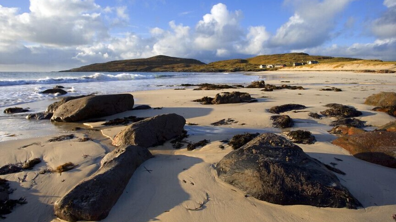 Photo of Others in Harris