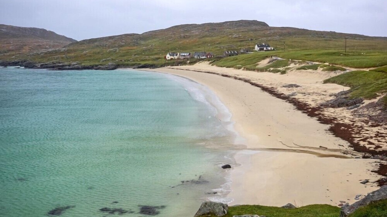 Photo of Others in Harris