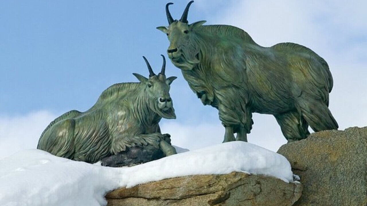 Photo of Outdoor in West Yellowstone