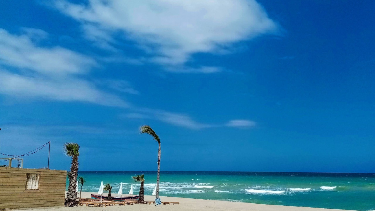 Photo of Others in Villelongue-de-la-Salanque