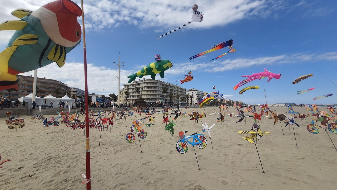 Photo of Others in Villelongue-de-la-Salanque