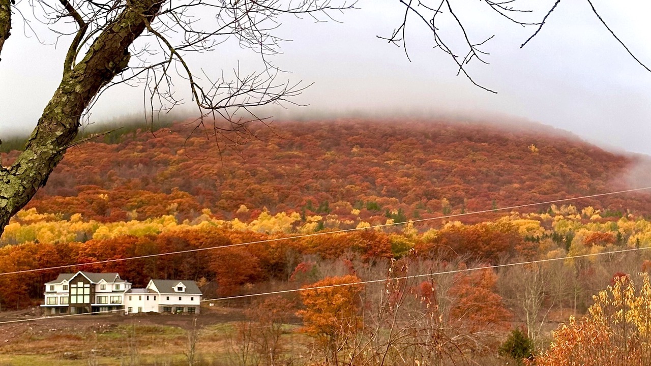 Photo of Others in Windham
