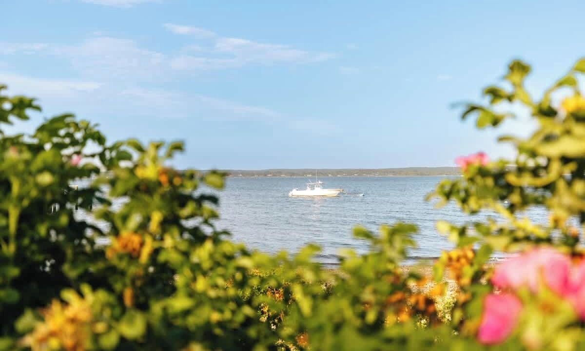 Photo of Others in Portsmouth