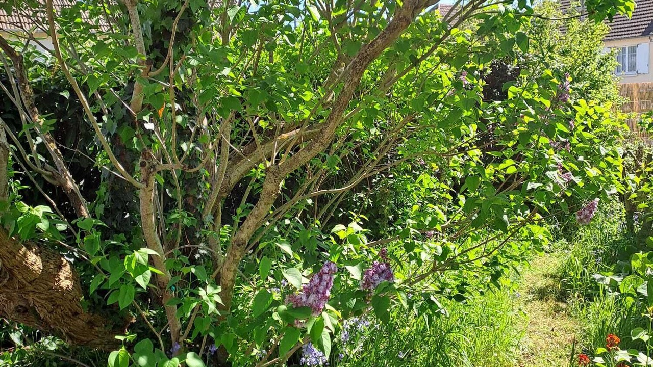 Photo of Outdoor in Ouistreham