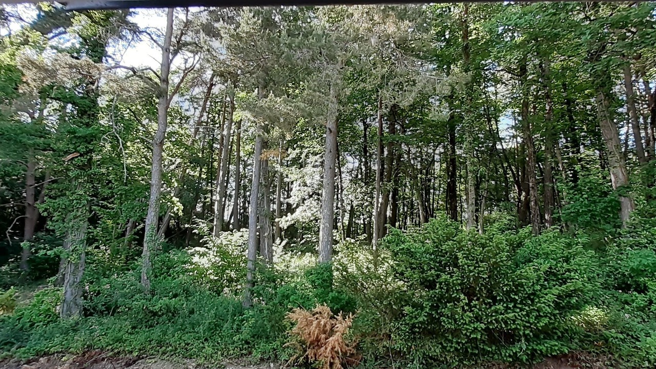 Photo of Outdoor in Cere-la-Ronde