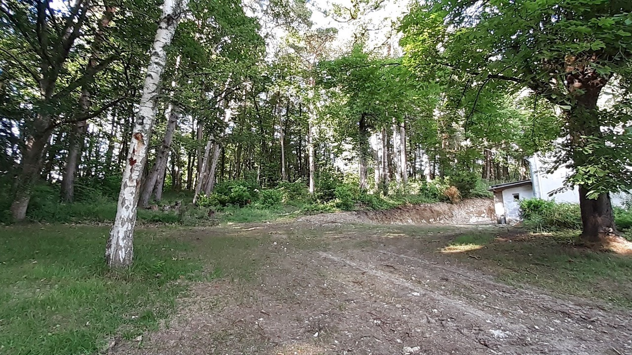 Photo of Outdoor in Cere-la-Ronde