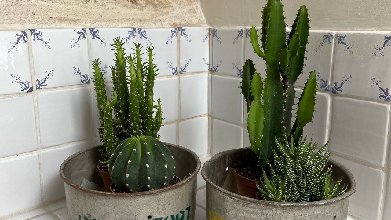 Photo of Others in Uzes