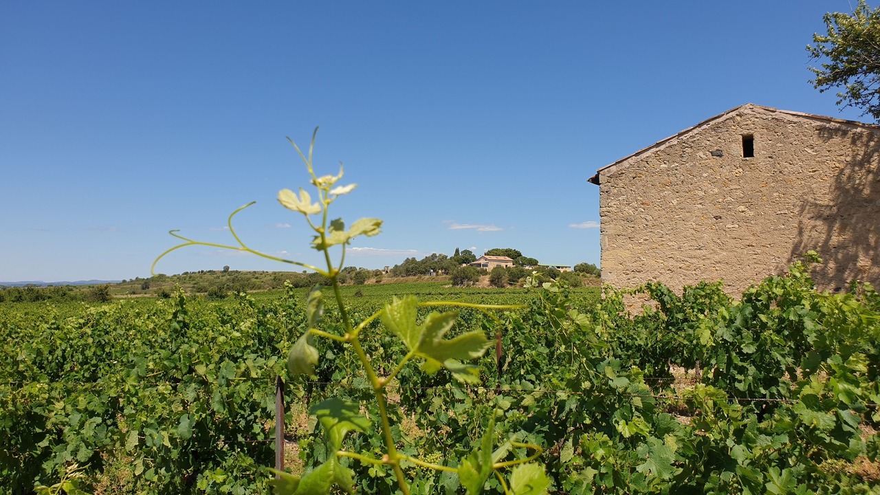 Photo of Outdoor in Tourbes