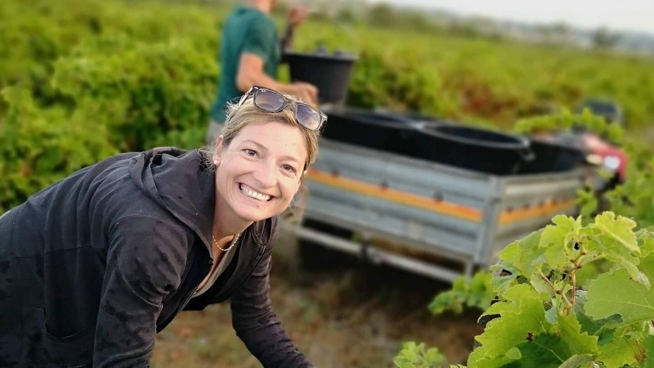 Photo of Others in Tourbes