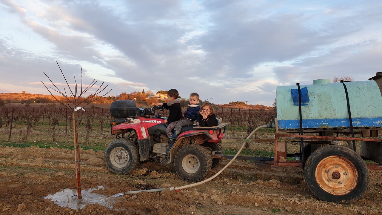 Photo of Others in Tourbes