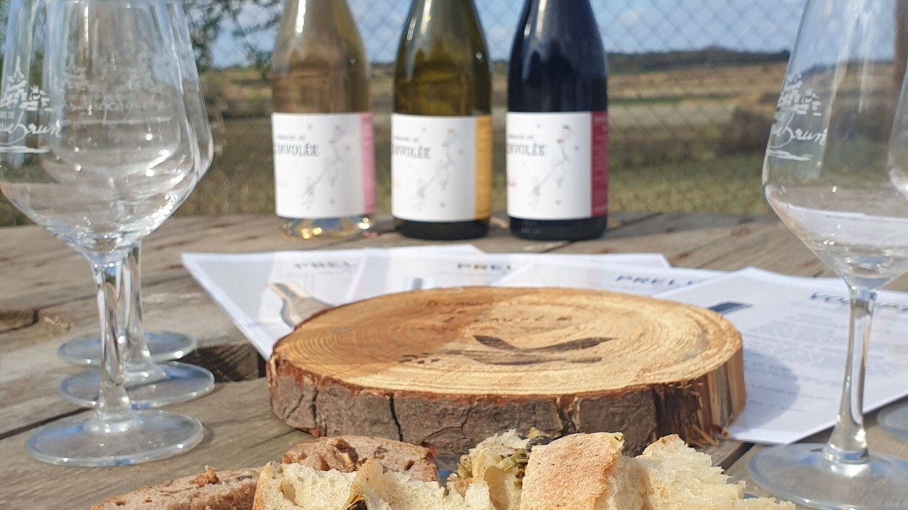 Photo of Others in Tourbes