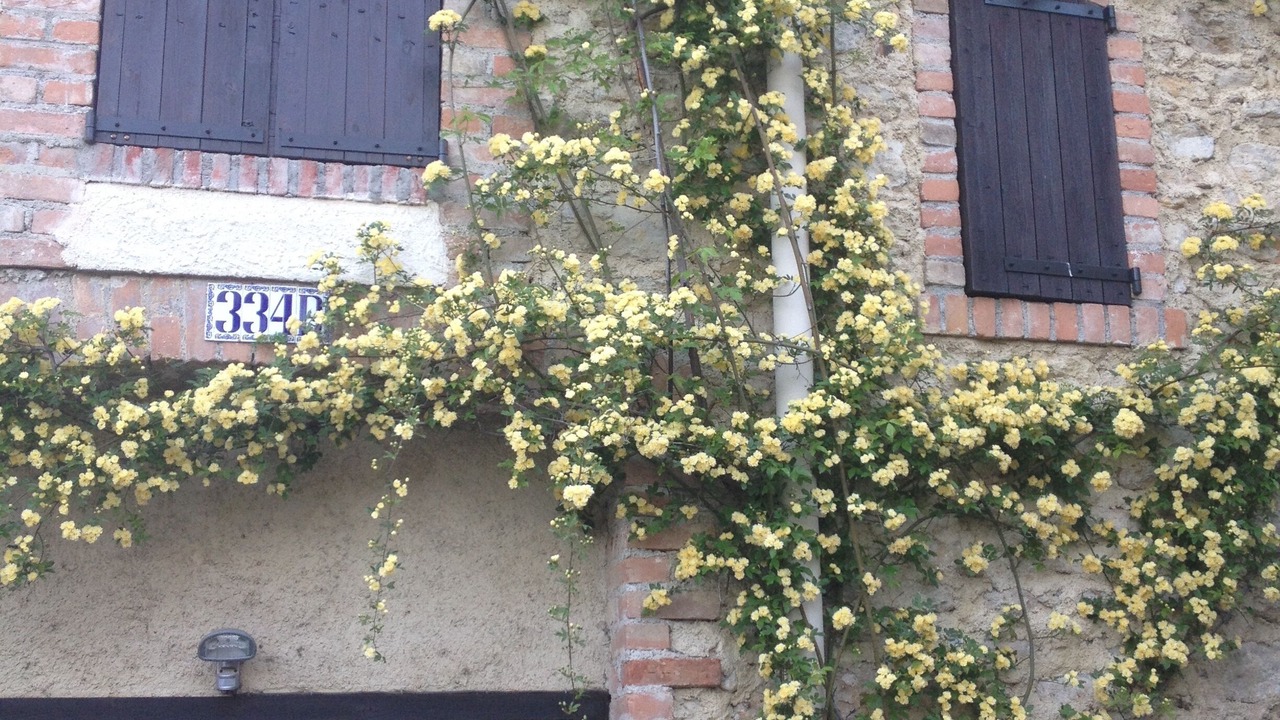 Photo of Outdoor in Ales