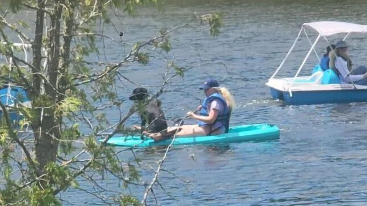 Photo of Others in Stewartstown