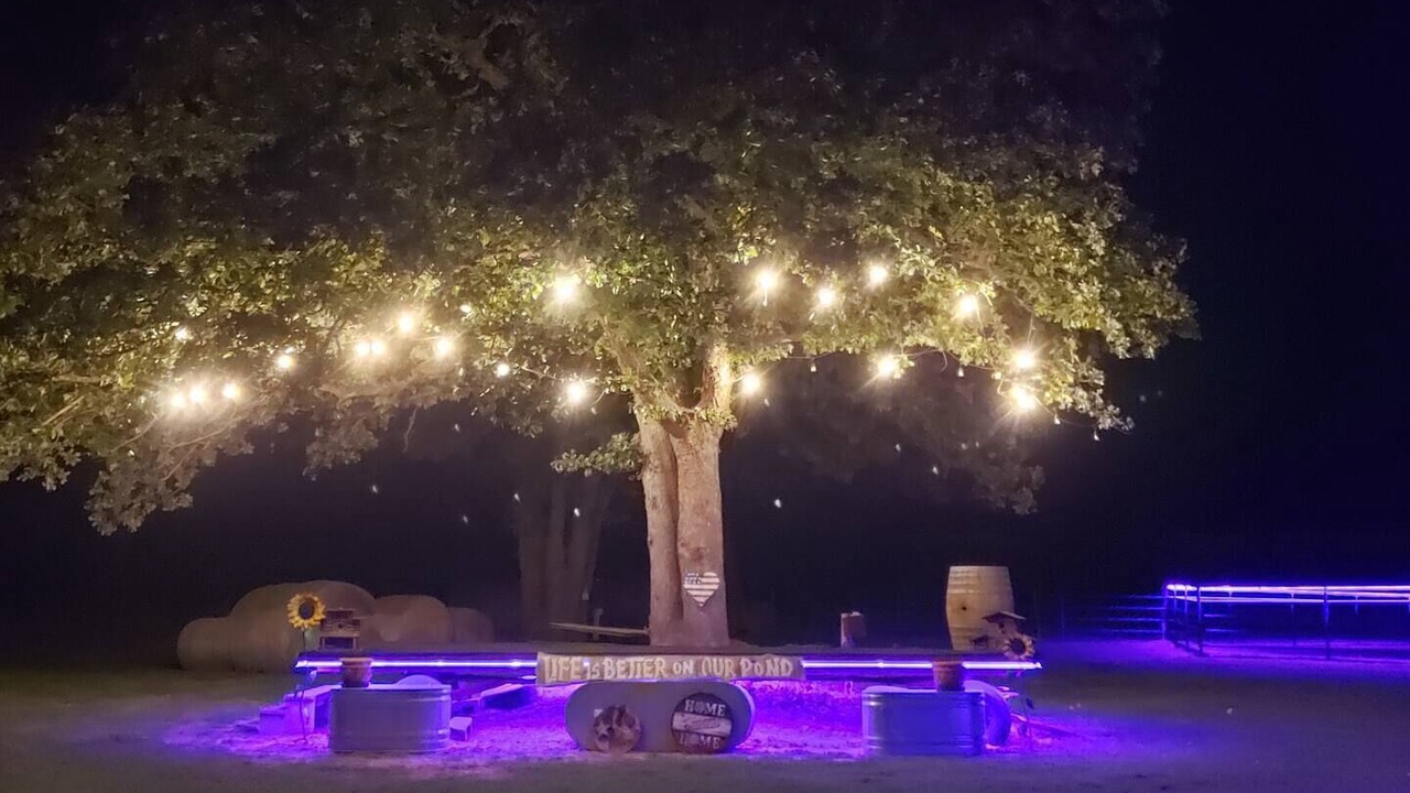 Photo of Outdoor in Wise County