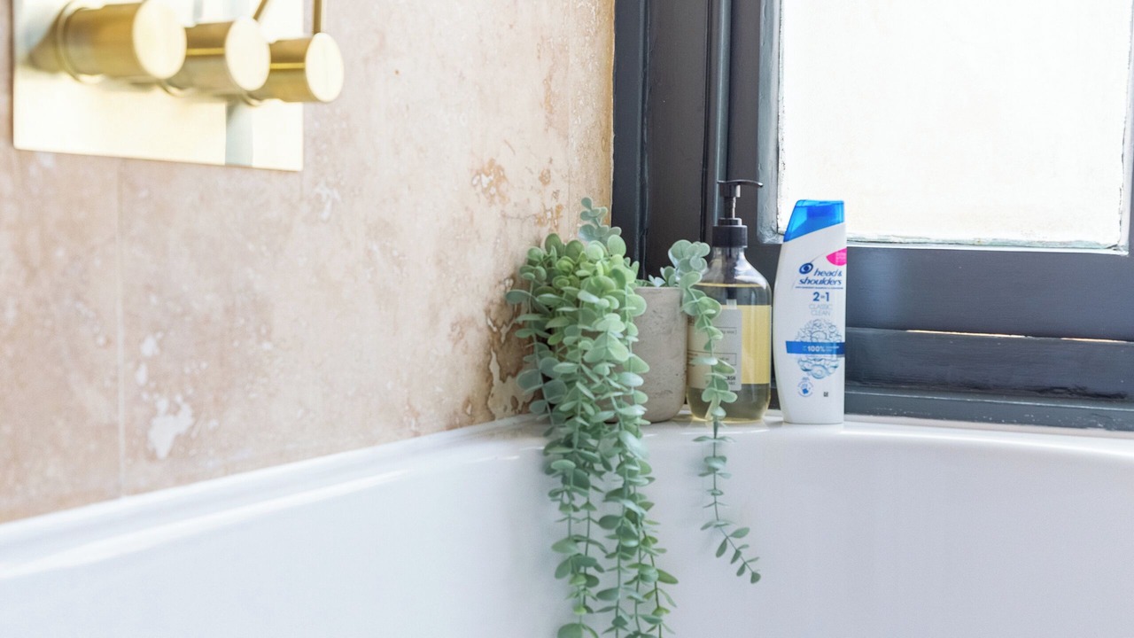 Photo of Bathroom in Ferndale