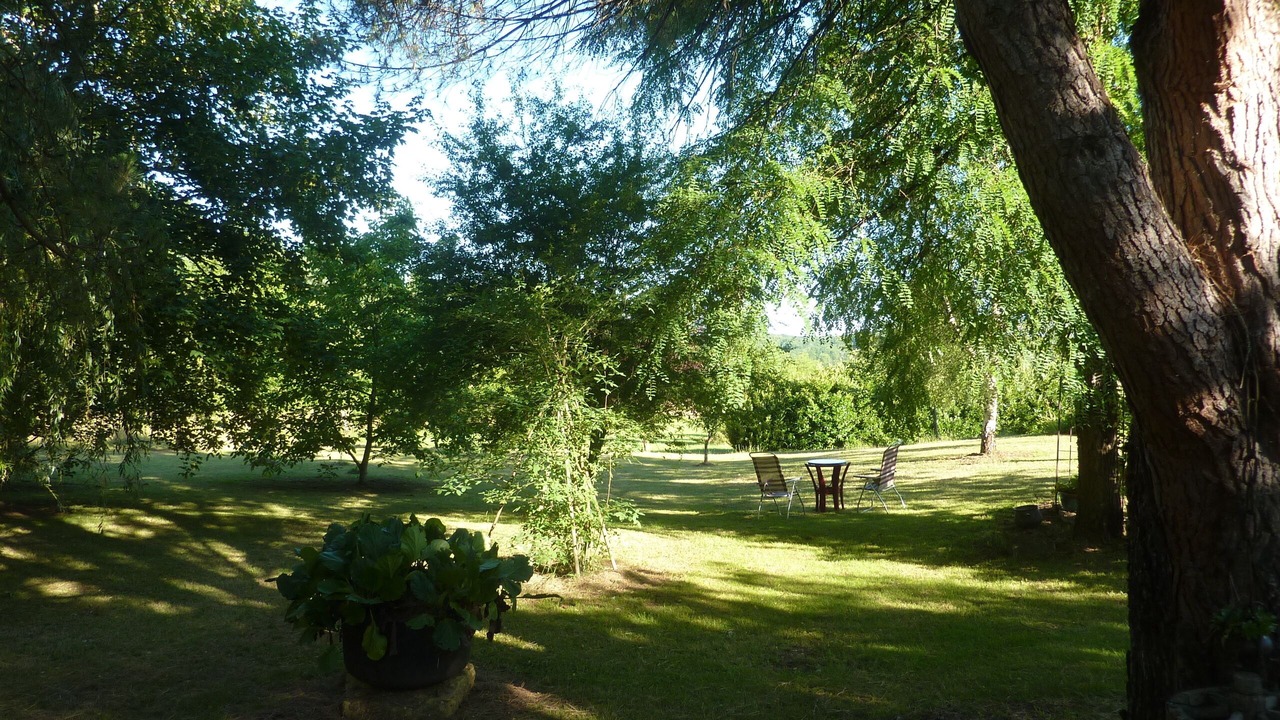 Photo of Outdoor in Sainte-Alvere