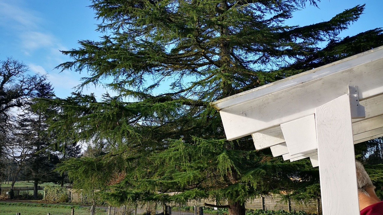 Photo of Outdoor in Pleslin-Trigavou