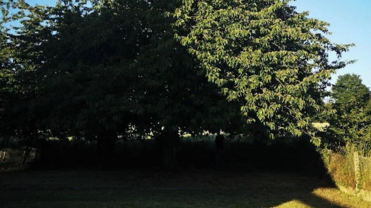 Photo of Outdoor in Pleslin-Trigavou