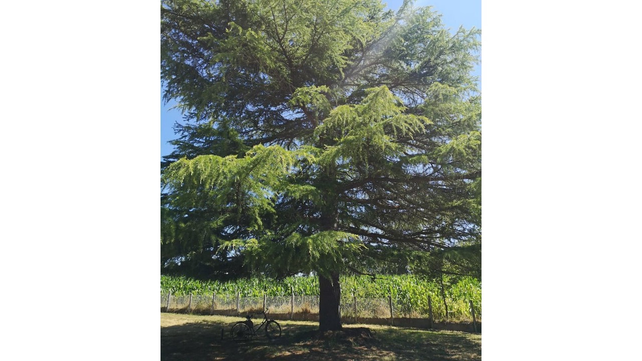 Photo of Outdoor in Pleslin-Trigavou