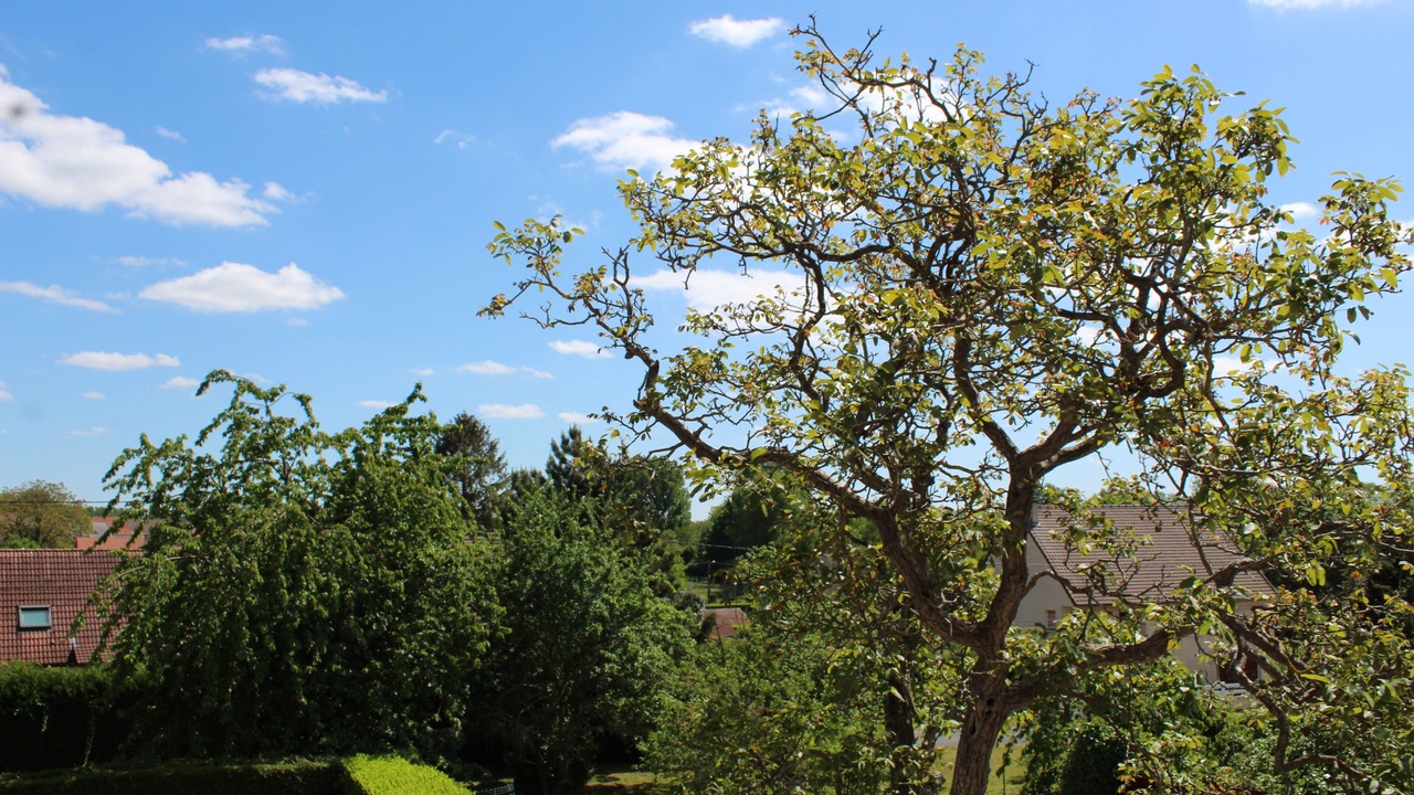 Photo of Outdoor in Folembray