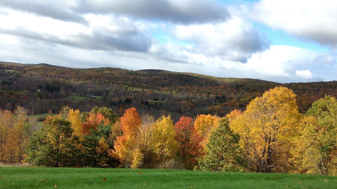 Photo of Outdoor in Hillsdale