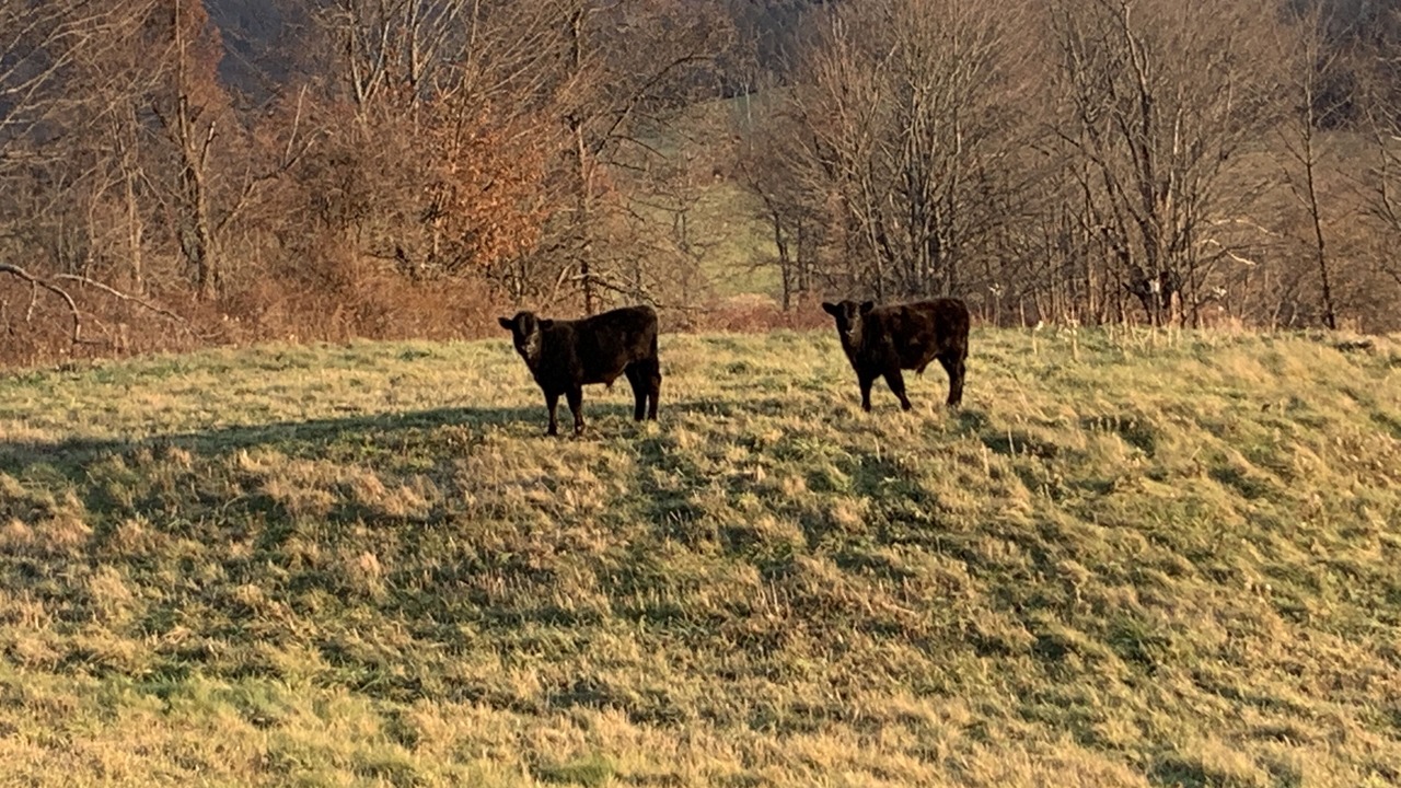 Photo of Others in Hillsdale