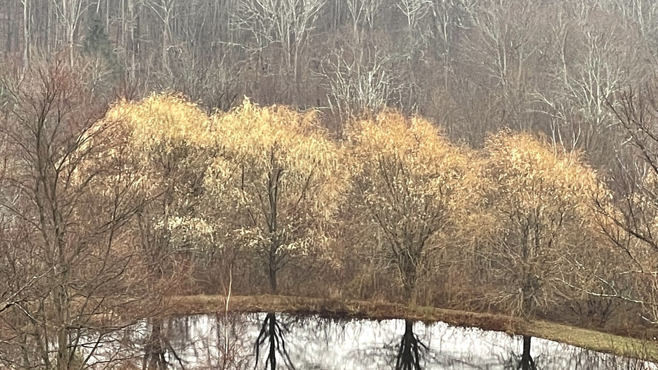 Photo of Others in Hillsdale