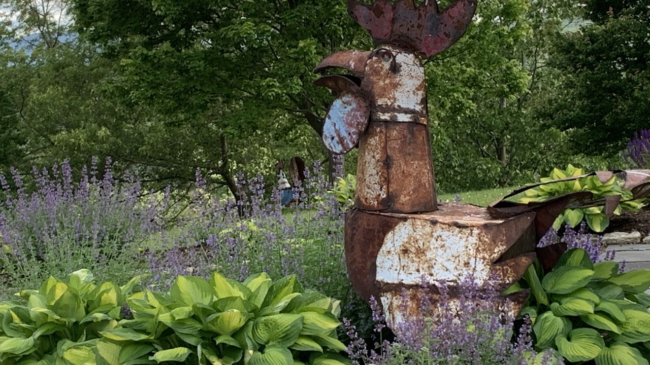 Photo of Outdoor in Hillsdale