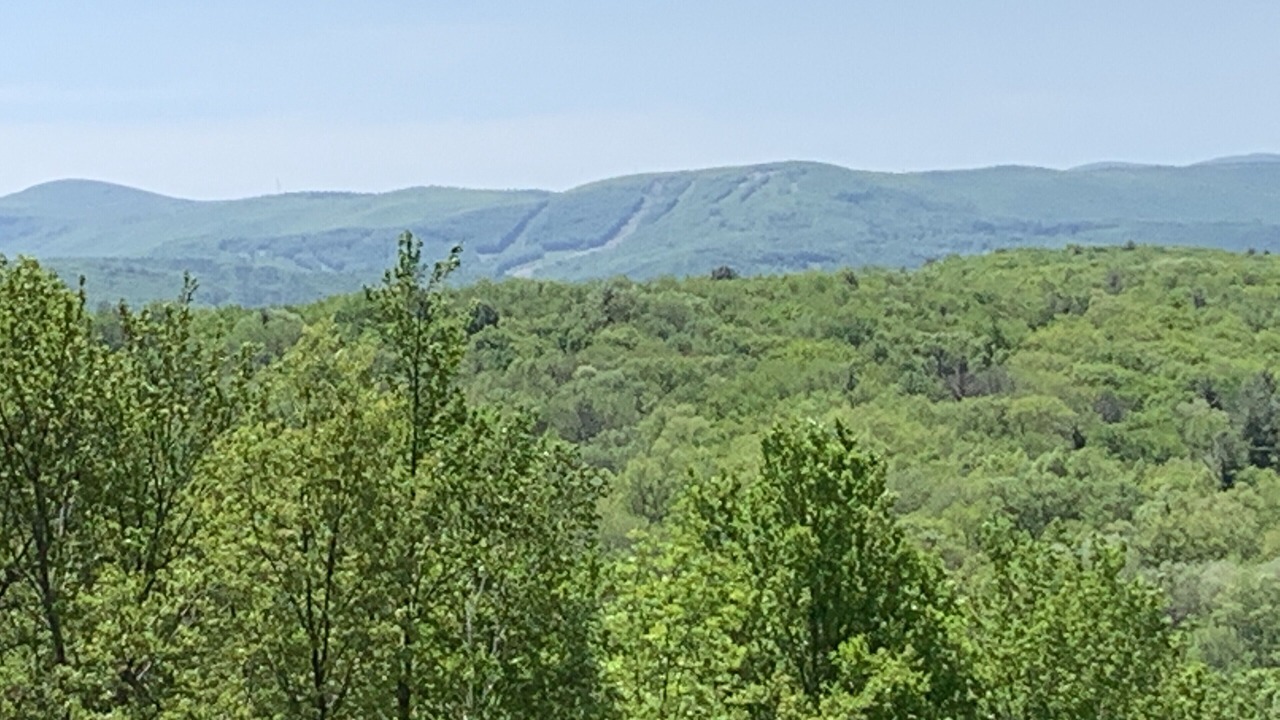 Photo of Others in Hillsdale