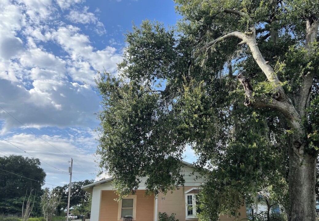 Photo of Outdoor in Wauchula