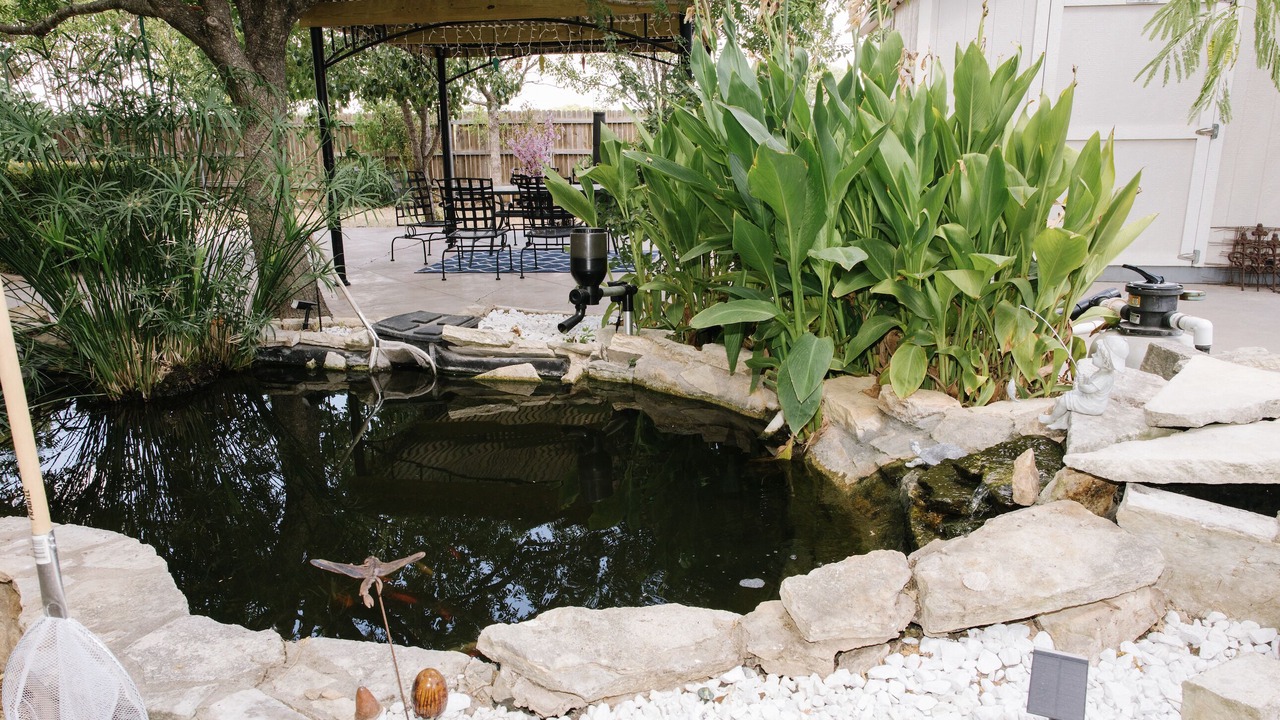 Photo of Outdoor in Georgetown