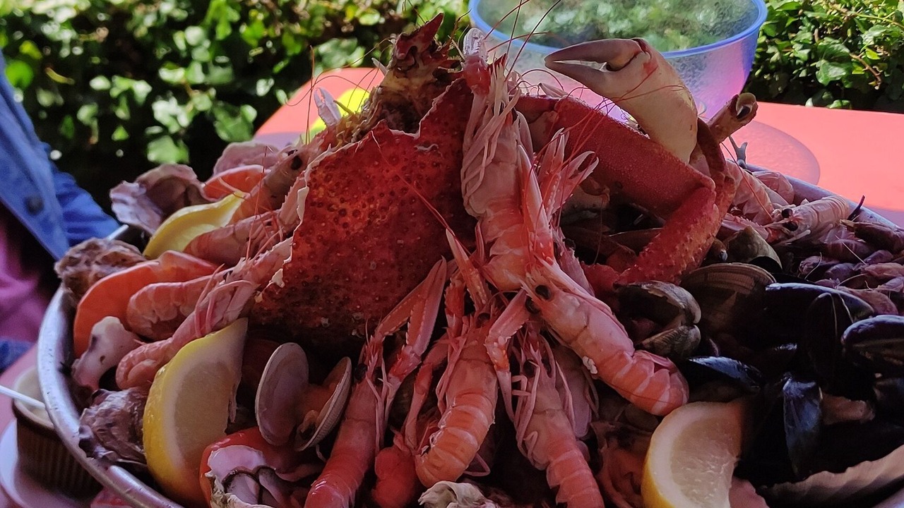 Photo of Others in Pleucadeuc