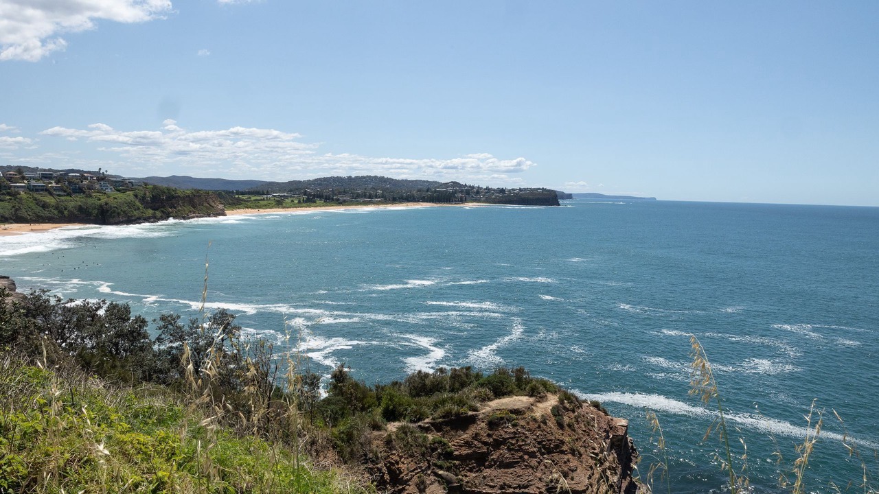 Photo of Others in Warriewood