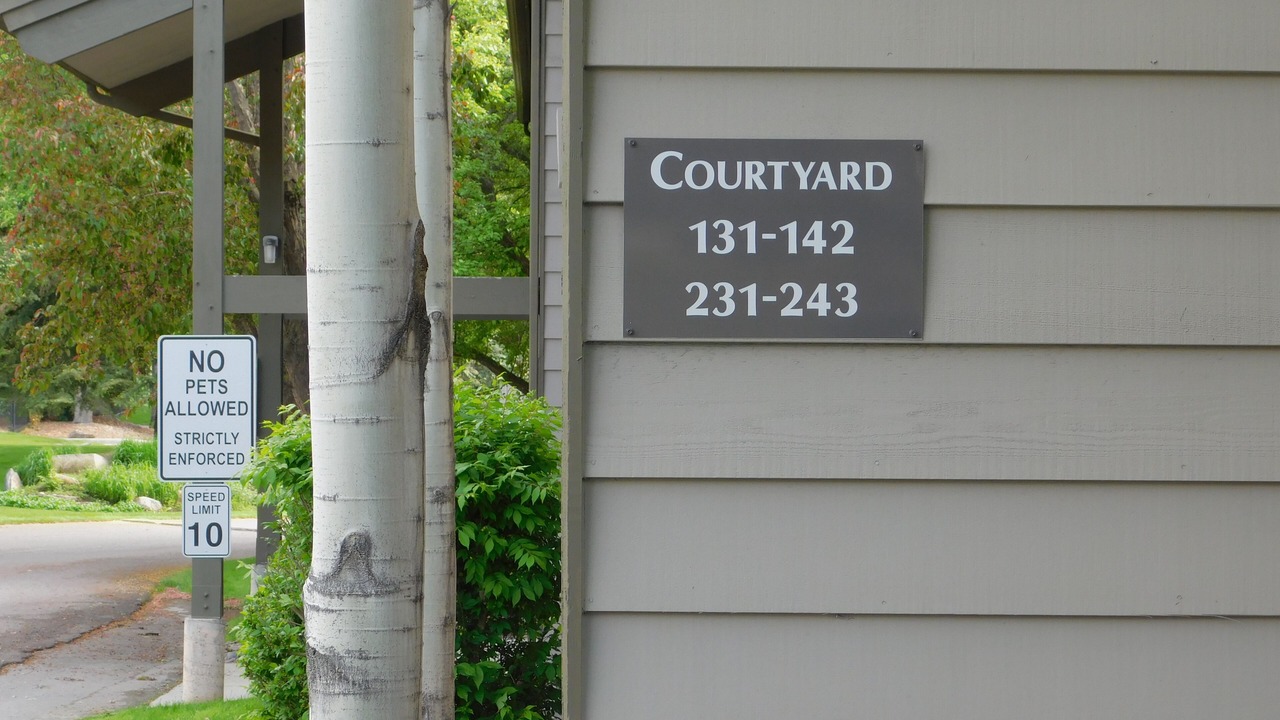 Photo of Outdoor in Bigfork