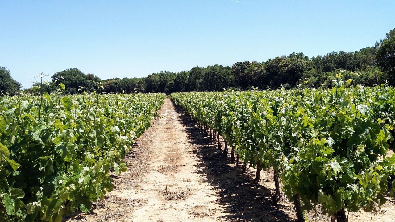 Photo of Others in La Bastide-d'Engras
