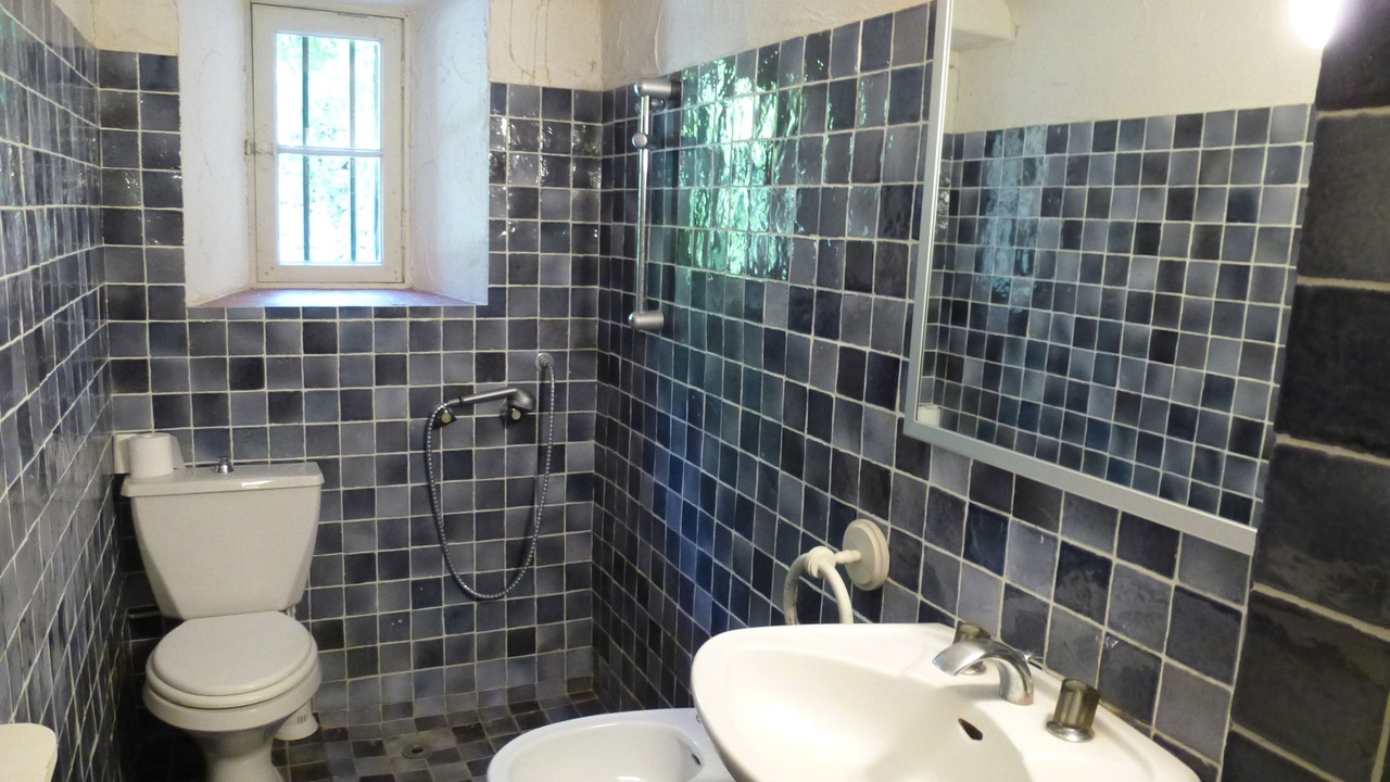 Photo of Bathroom in Le Val