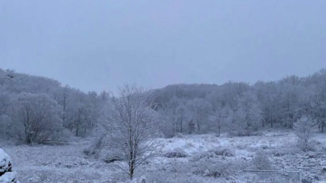 Photo of Others in Saugerties South