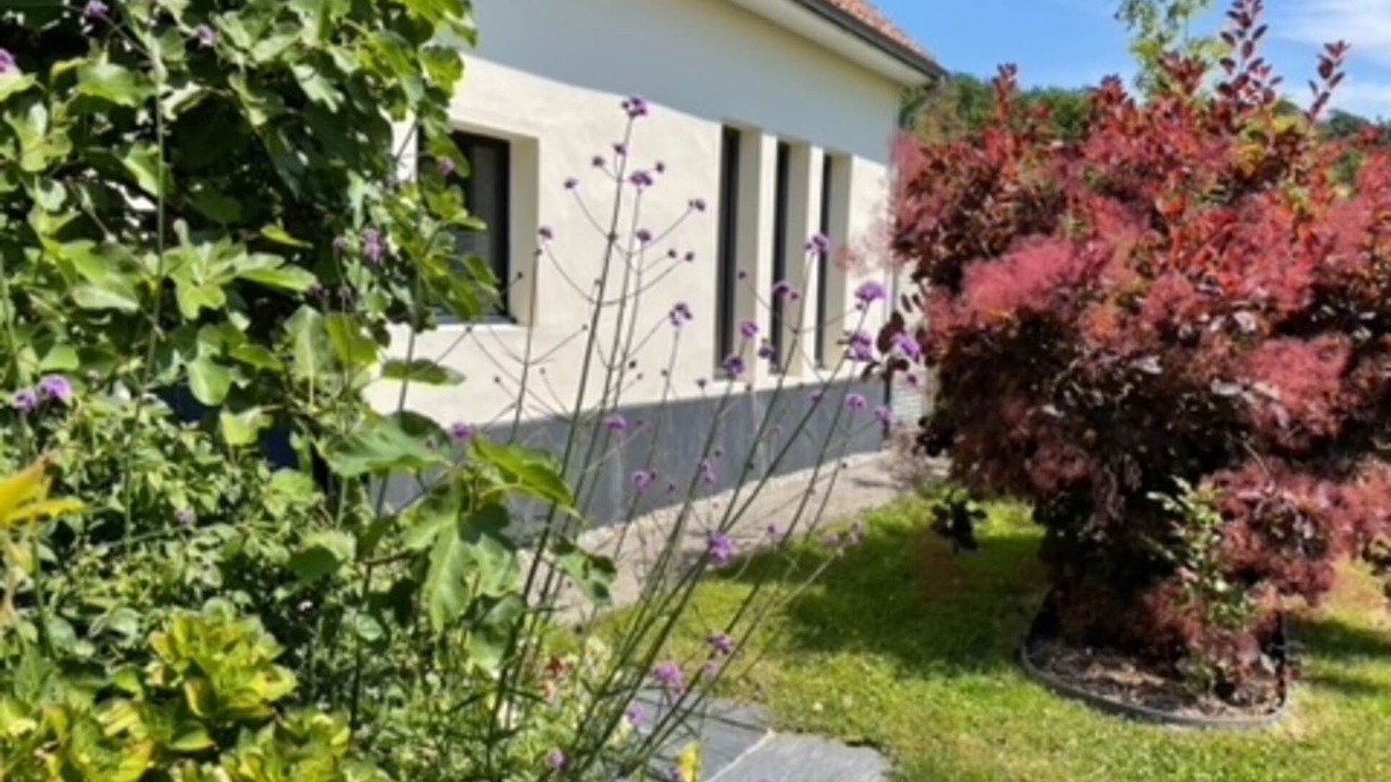 Photo of Others in Courset