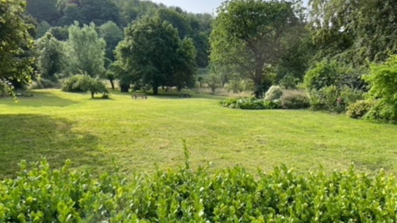 Photo of Others in Courset